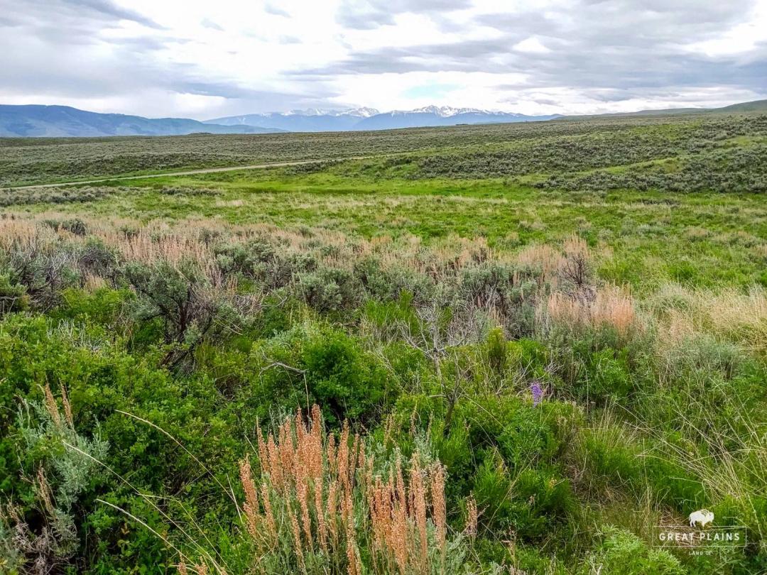 40AC Near Vail & Beaver Creek|Well,Spring,200K Acres BLM Nearby