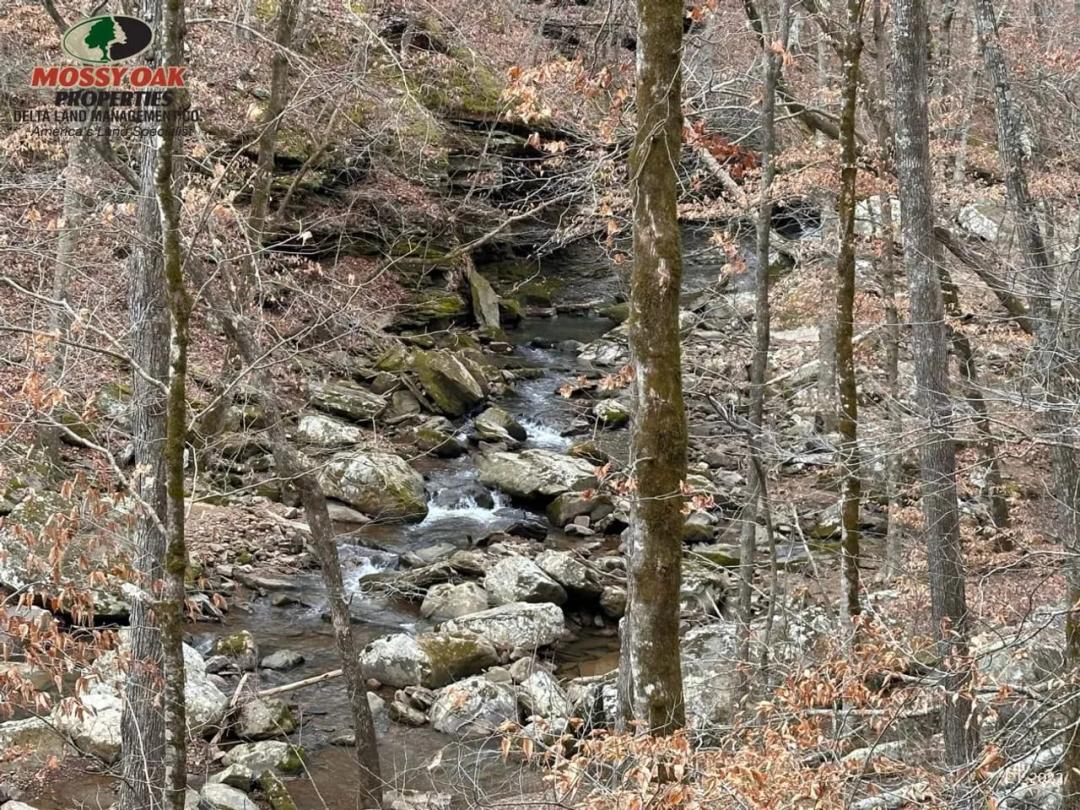 273.92 Acres on Sugar Camp Creek.