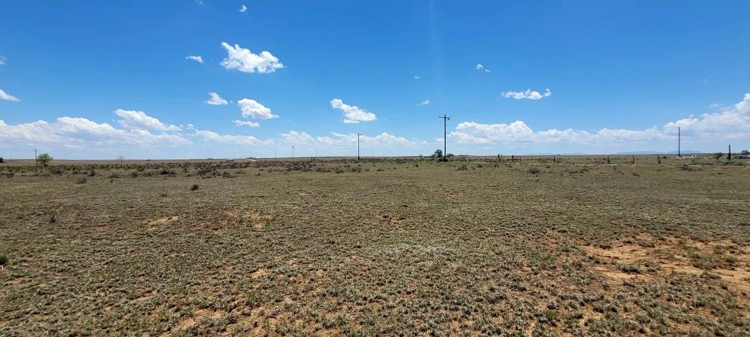 Oversized Lot - Two Lots From Main Road and Power - Desireable Location