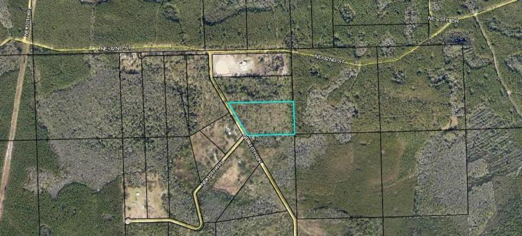 10.21 acres of Deer Woods