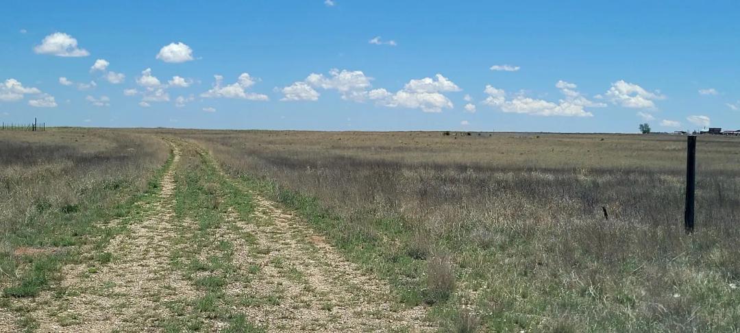 Nearly Three Acres - East of Albuquerque - Large Acreage Properties