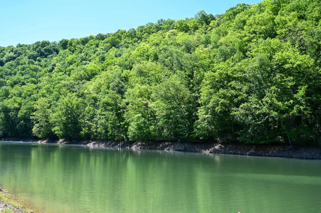 3.46 Acres at 0 Crestwood Road -