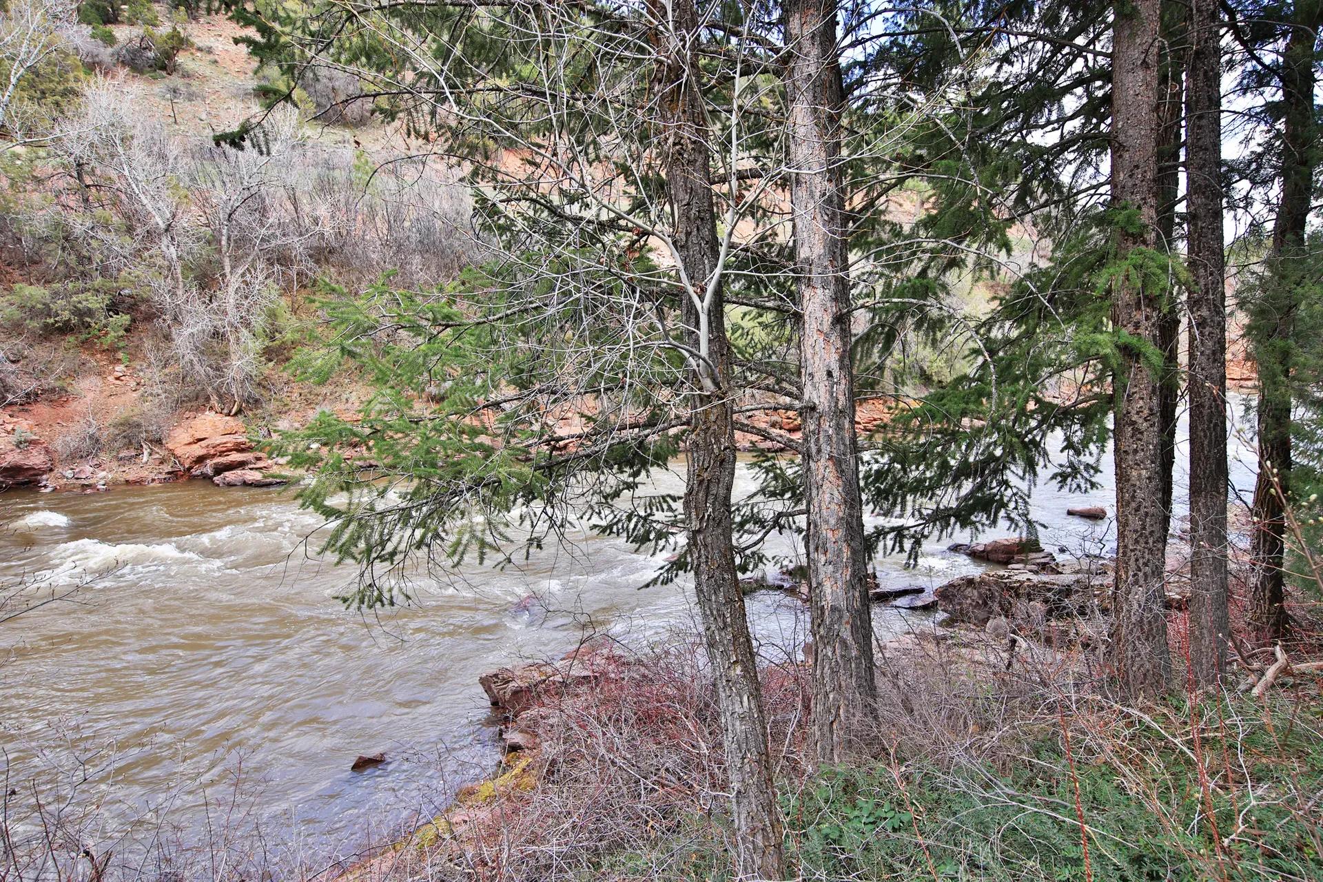 img_Riverfront-Acreage-in-Pitkin-County-Colorado-For-Sale-15