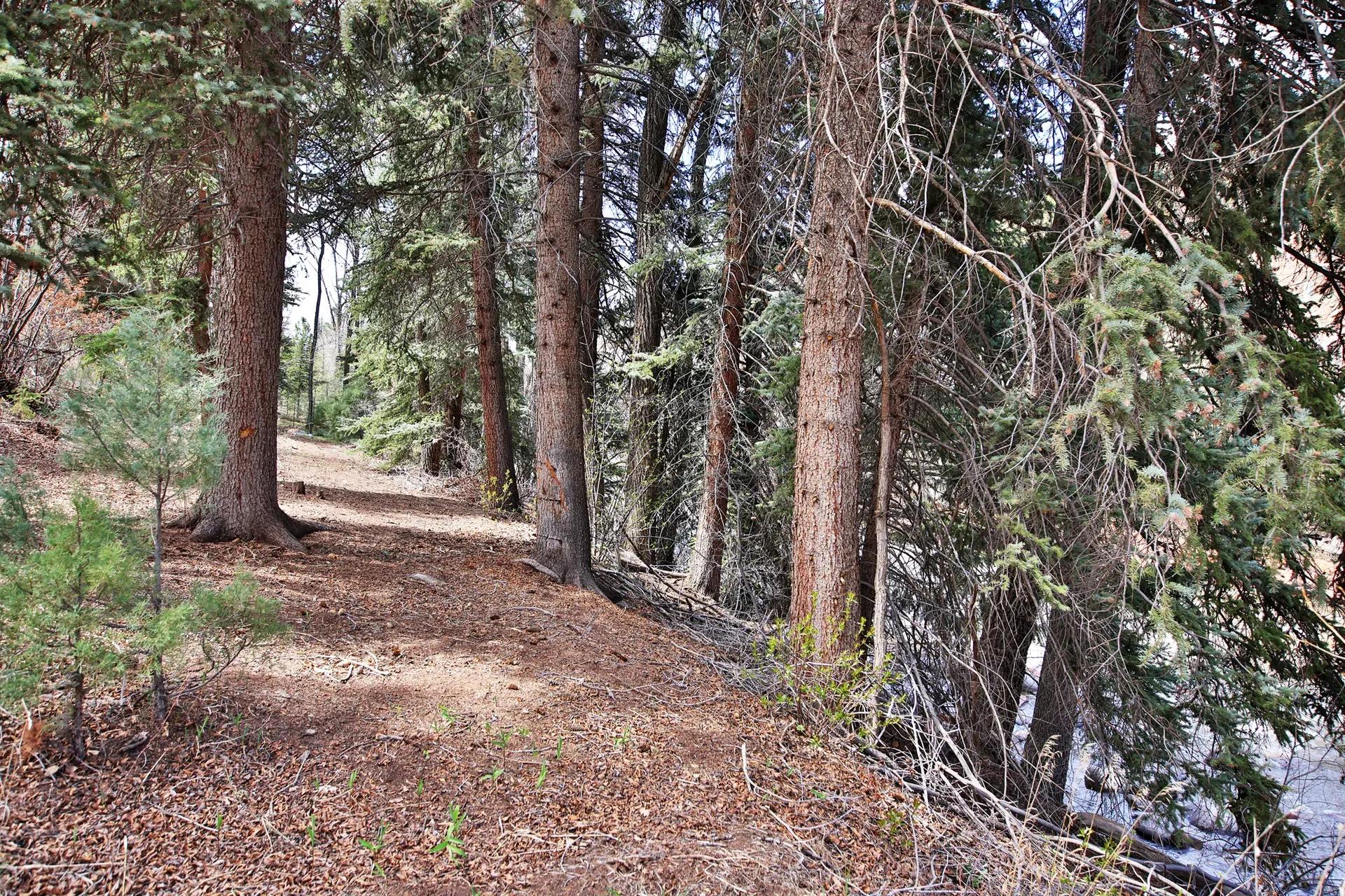 img_Riverfront-Acreage-in-Pitkin-County-Colorado-For-Sale-16