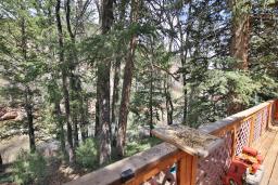img_Riverfront-Acreage-in-Pitkin-County-Colorado-For-Sale-25