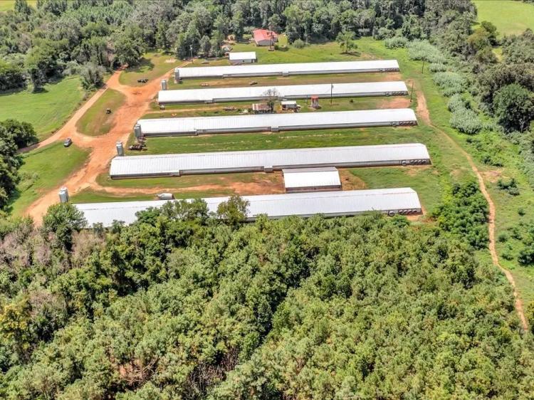 Poultry Farm for Sale In Nacogdoches, Texas