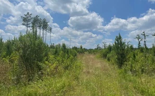 78.7 Acres in Madison County in Canton, MS 