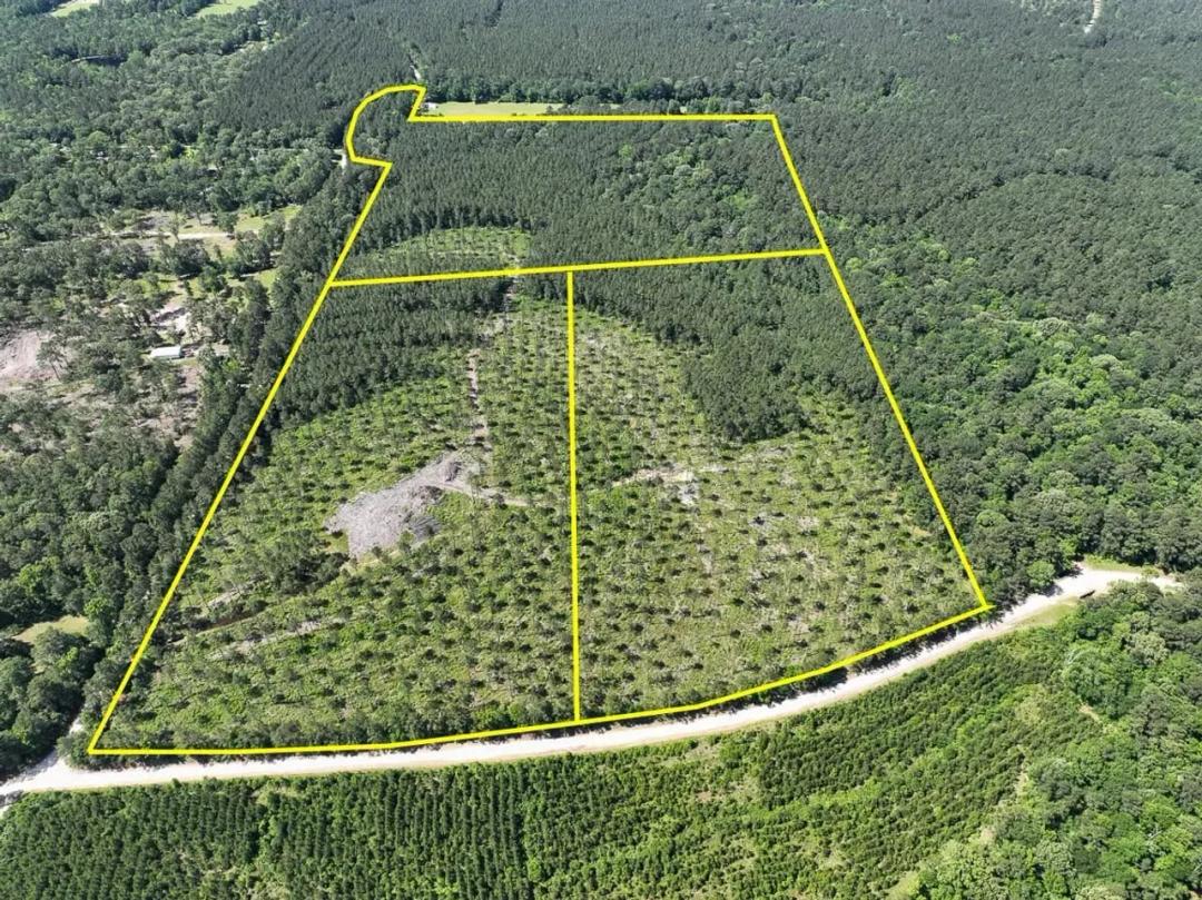 16 Acres | T-38 | Groveton Flat Prairie Road
