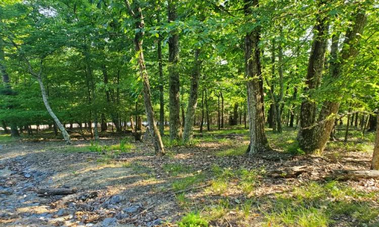 0.60 Acre Corner Building Lot with Cherokee Lake Access