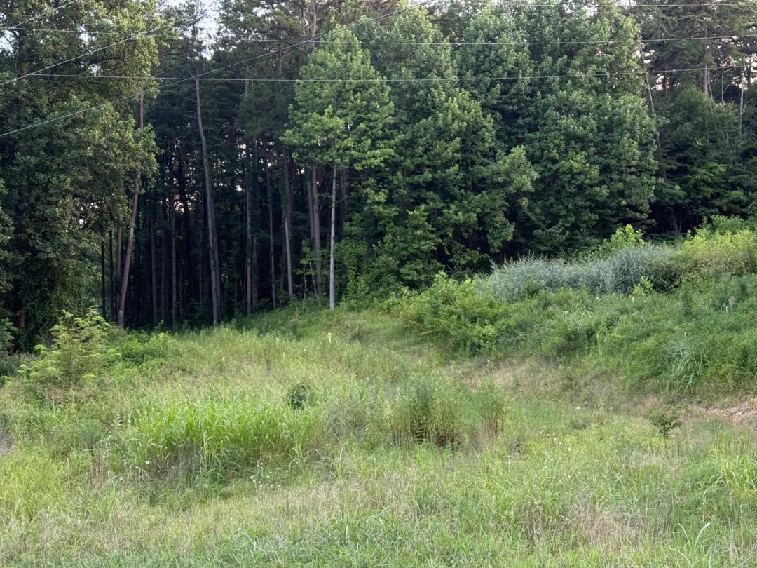 Land ready for your future home or getaway!