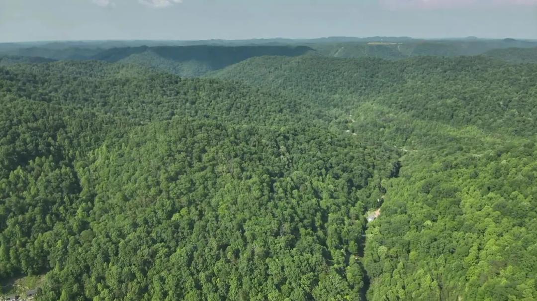 32.00 Acres at 0 Big Branch Rd