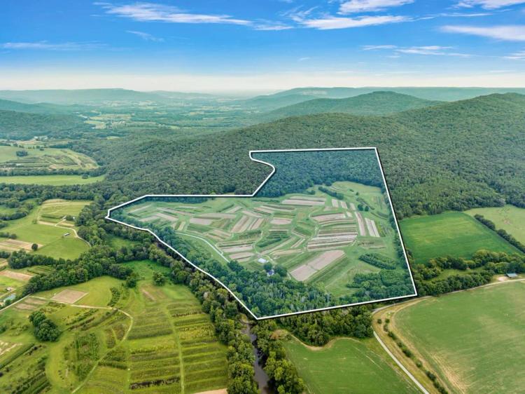 225 Acres in Grundy and Warren Counties, Tennessee - Thriving Tree and Plant Nursery with Investment Potential