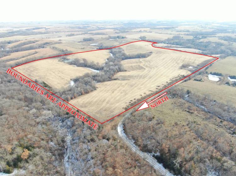 81.52 Acres at 1 195th St