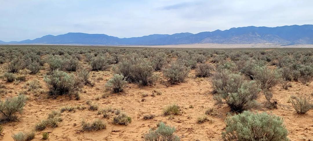 Camp - RV - Build - Los Lunas New Mexico - Trigo Rd