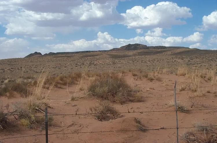 Wide open Views *   BLM lands across road * Petrified Forest Painted Desert Arizona land
