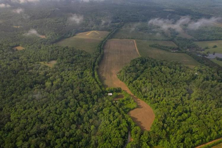 455 Acres for Sale Hunting Land in Claiborne County, MS