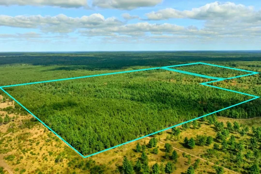 120± acres of heavily timbered hunting land in Eau Claire County