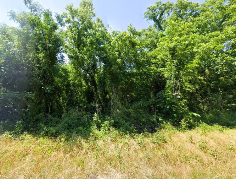 4-Acre Wooded Lot - Close to Lake Marion