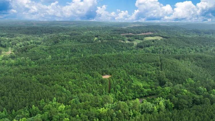 JEFFERSON COUNTY, AL | 40 acres w/Creek | Great Hunting & Rec Tract | Gate on Paved Road