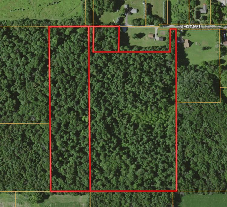 29 +/- ACRES / W 200 S WESTVILLE, IN 46391 / LAPORTE COUNTY / HUNTING / POTENTIAL BUILDING SITE / LAND FOR SALE