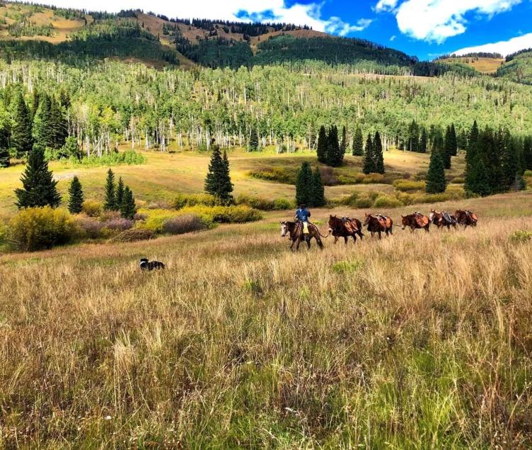 Outfitting Ranch in Colorado Horses and Hunting