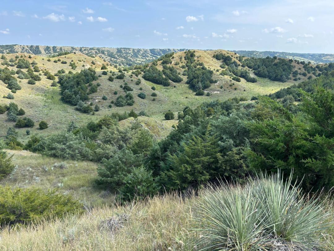 Moran Canyon Combination