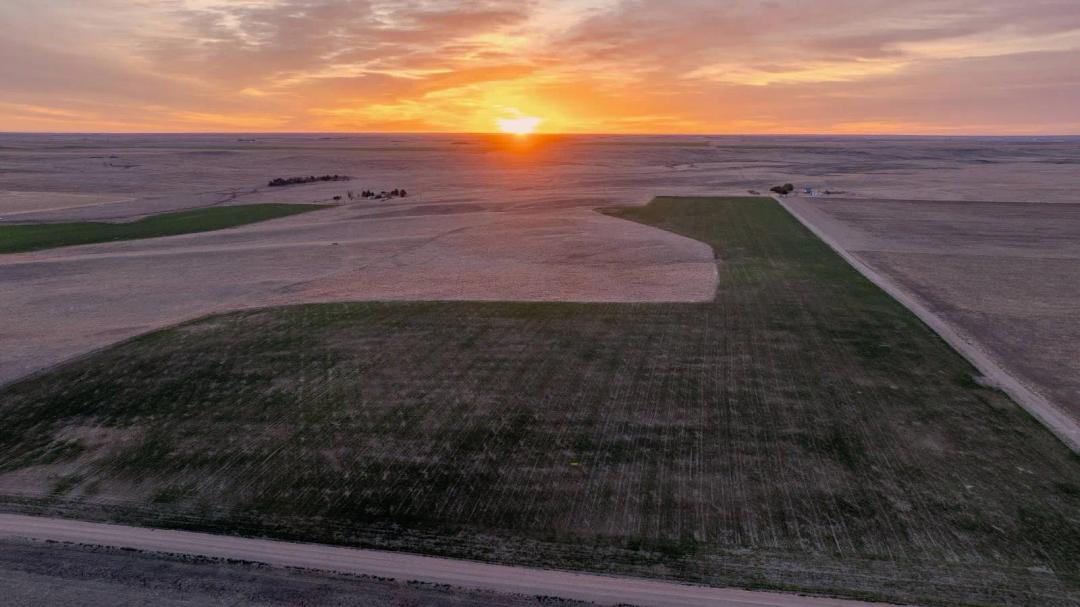 Cheyenne County, Nebraska Dryland Farm, Pasture, & CRP Ground