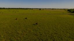 img_pasture-and-cows-1-of-1-