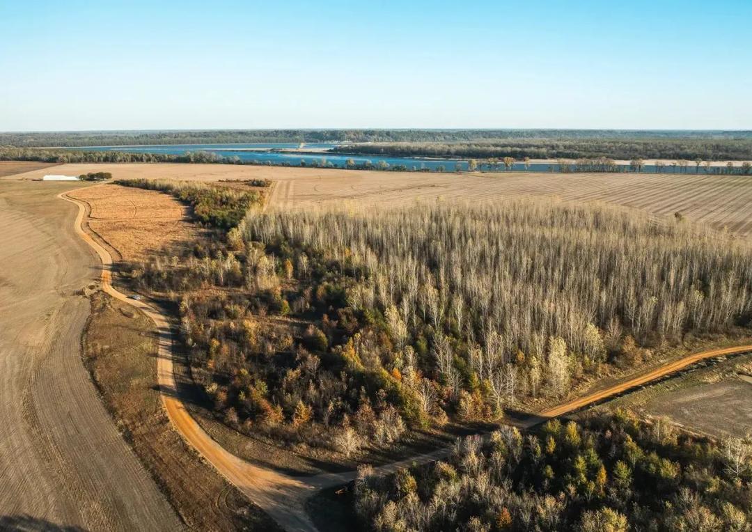 Wolfe Island #5 170 Acres Prime Hunting Tract