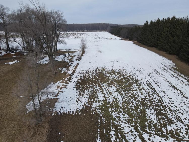 Michigan hunting land for sale