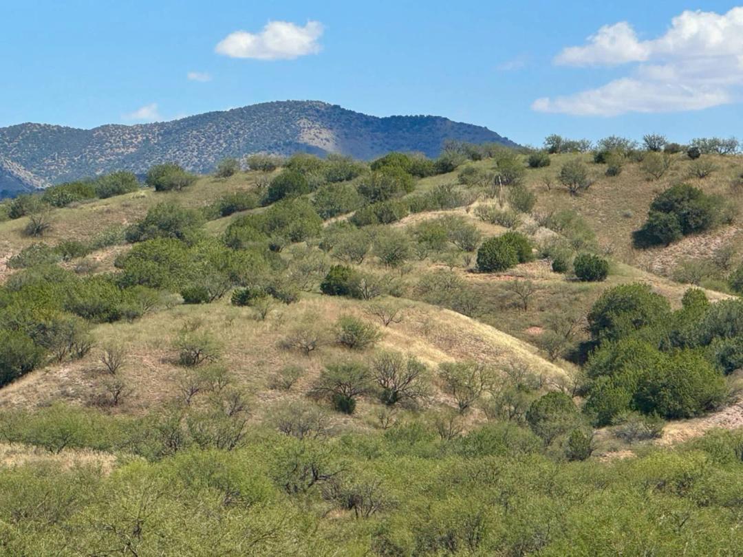 Peaceful 30 acres with mountain views, rolling hills with trees