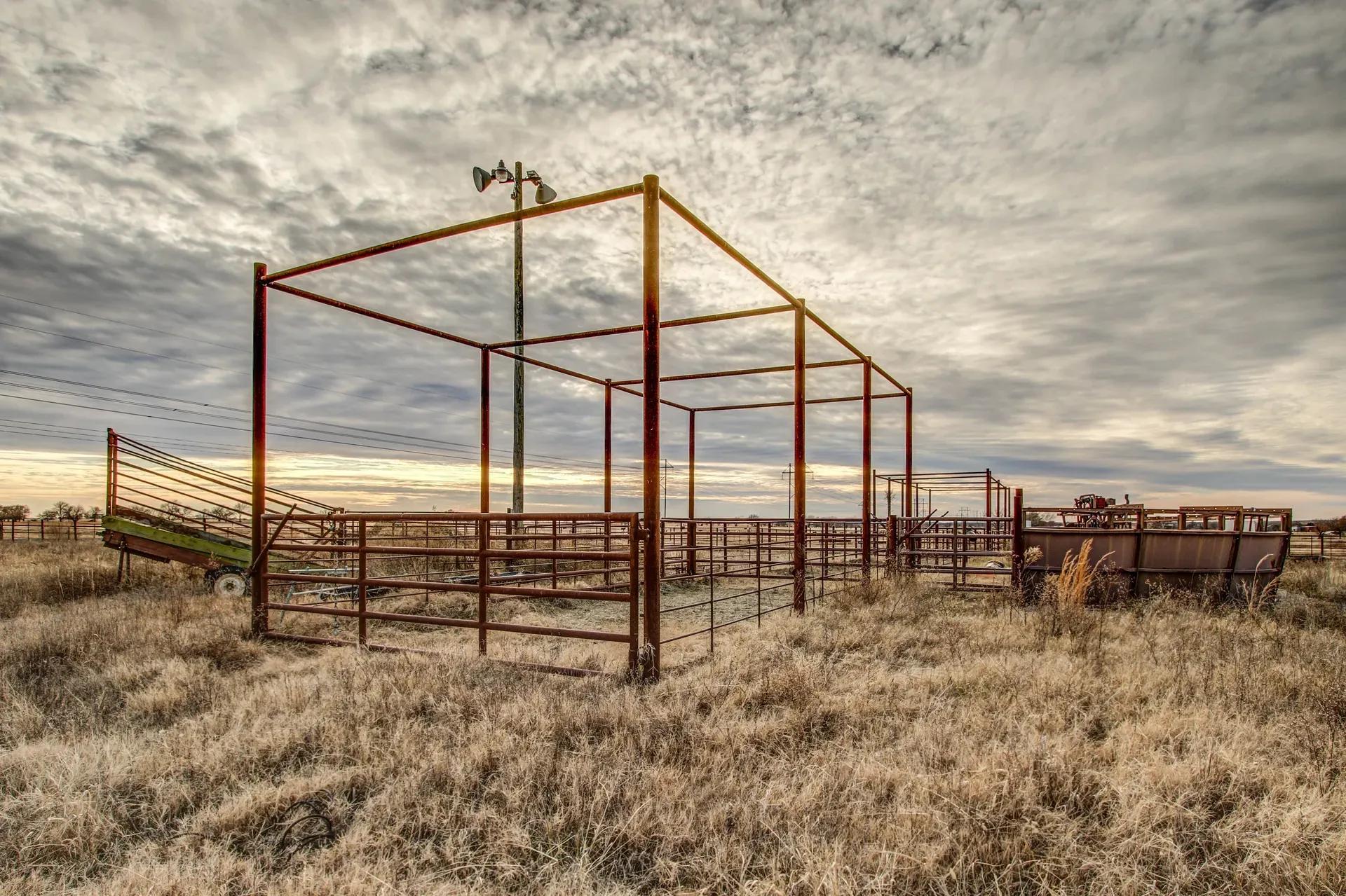 img_039_Cattle-Fencing