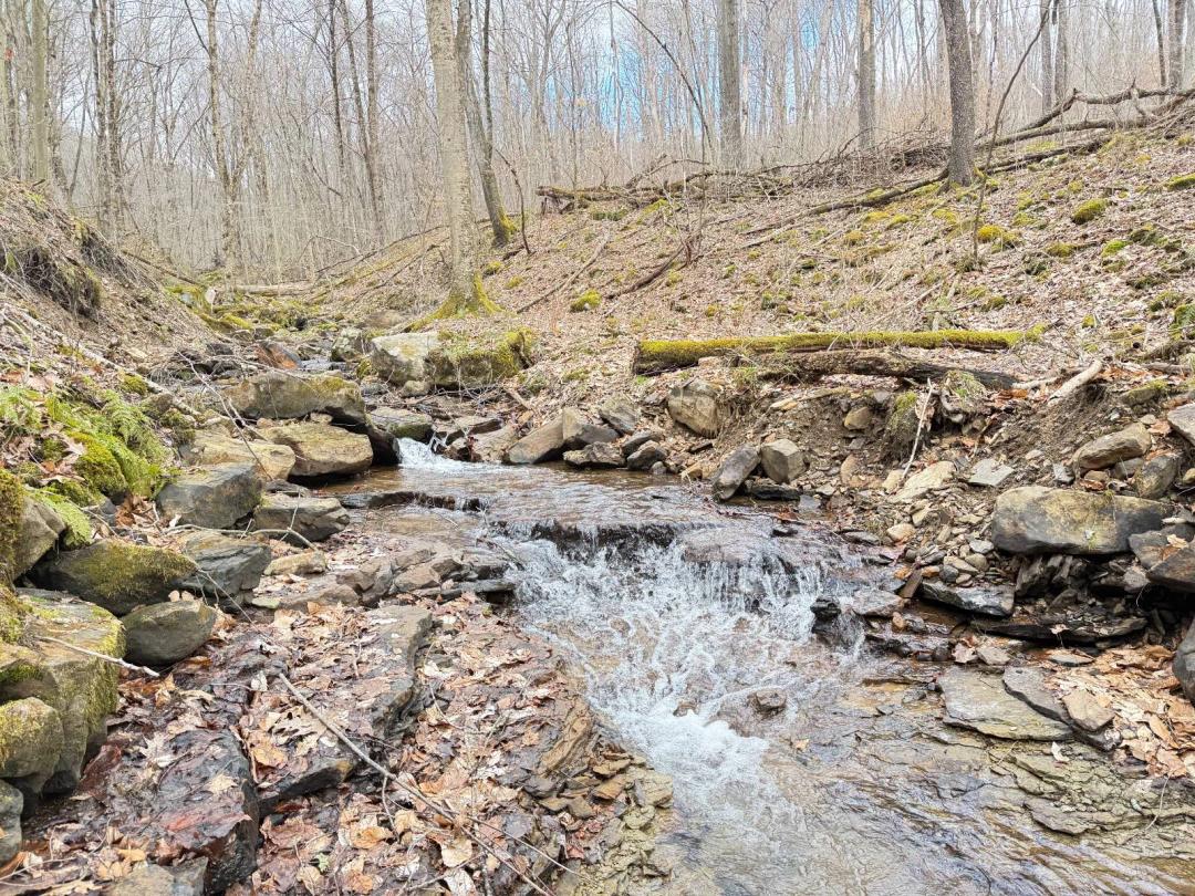 Wooded Hunting Land With Stream in Venango County, PA