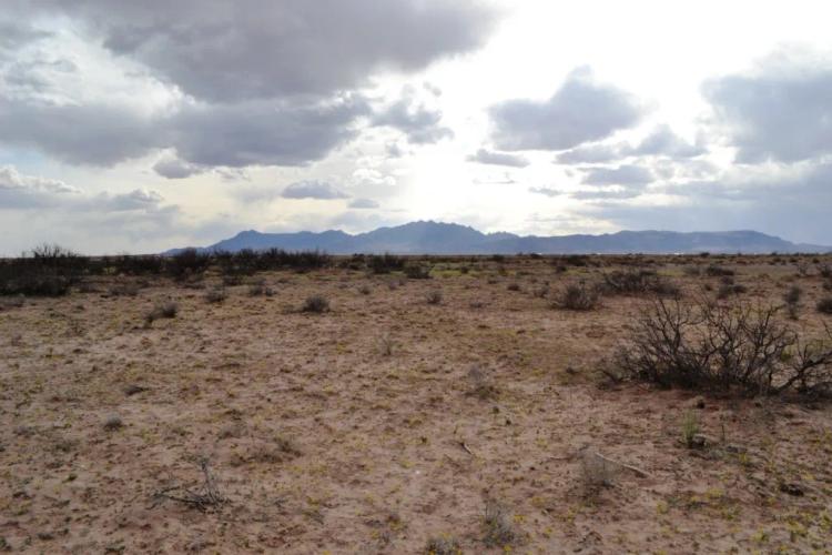 2 Adjoining Parcels Totaling 1 acre - Southern New Mexico Desert