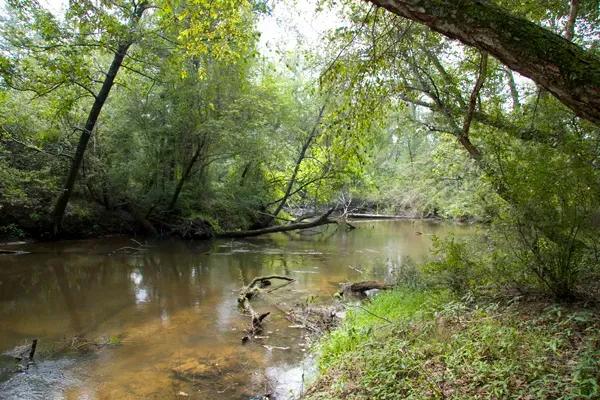 34.08 Acres of Hunting, Fishing, and Recreational Land
