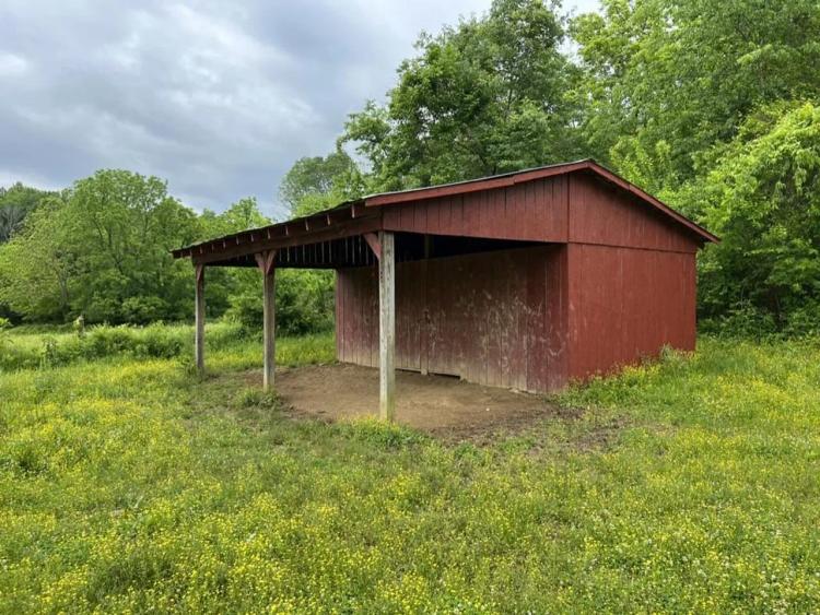 58 Acre fully fenced farm in Wilson County