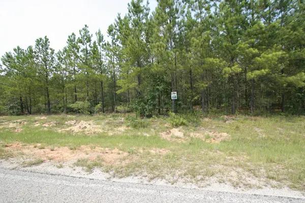 28.87 Acres of Potential Home Site Land