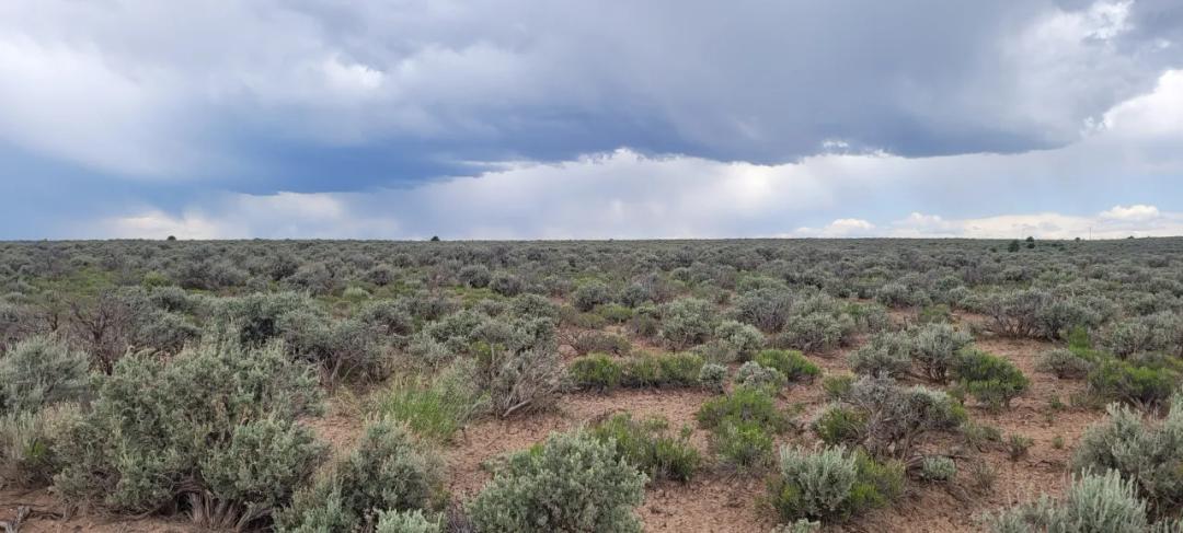 Taos County New Mexico Off Grid Living - 1/2 acre - Camp RV Earthship