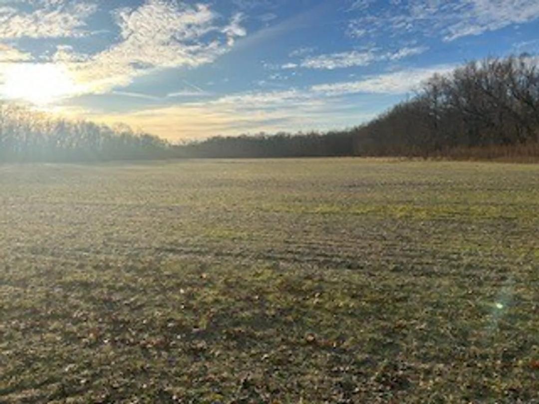 Land For Sale in Clay County, IN 51 Acres +/-