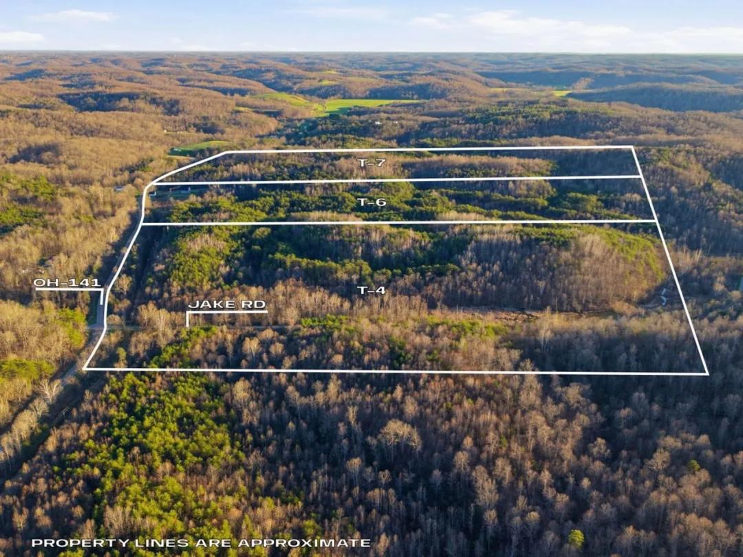 St Rt 141 Parcel 6 - 40 acres