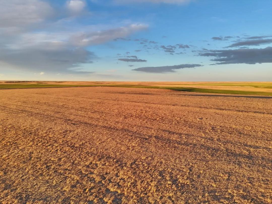 Large Quarter of Expired CRP & Good Soils