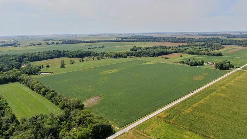 Wilfong - Newton County