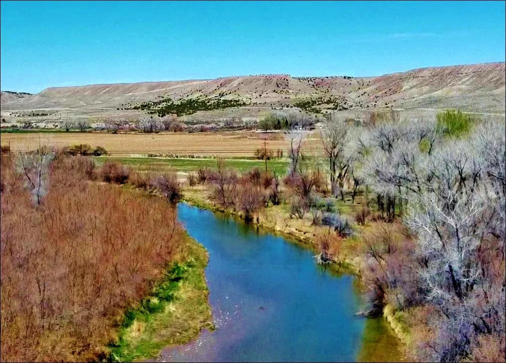 Bridgeland Farm and River Ranch