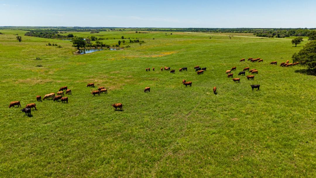 Pickett Ranch
