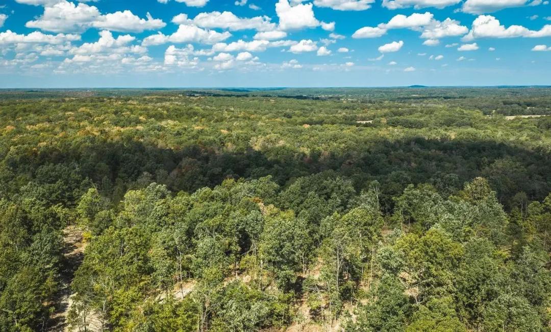 Buck Ridge 142