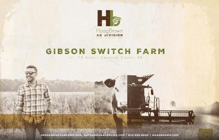 Gibson Switch Farm