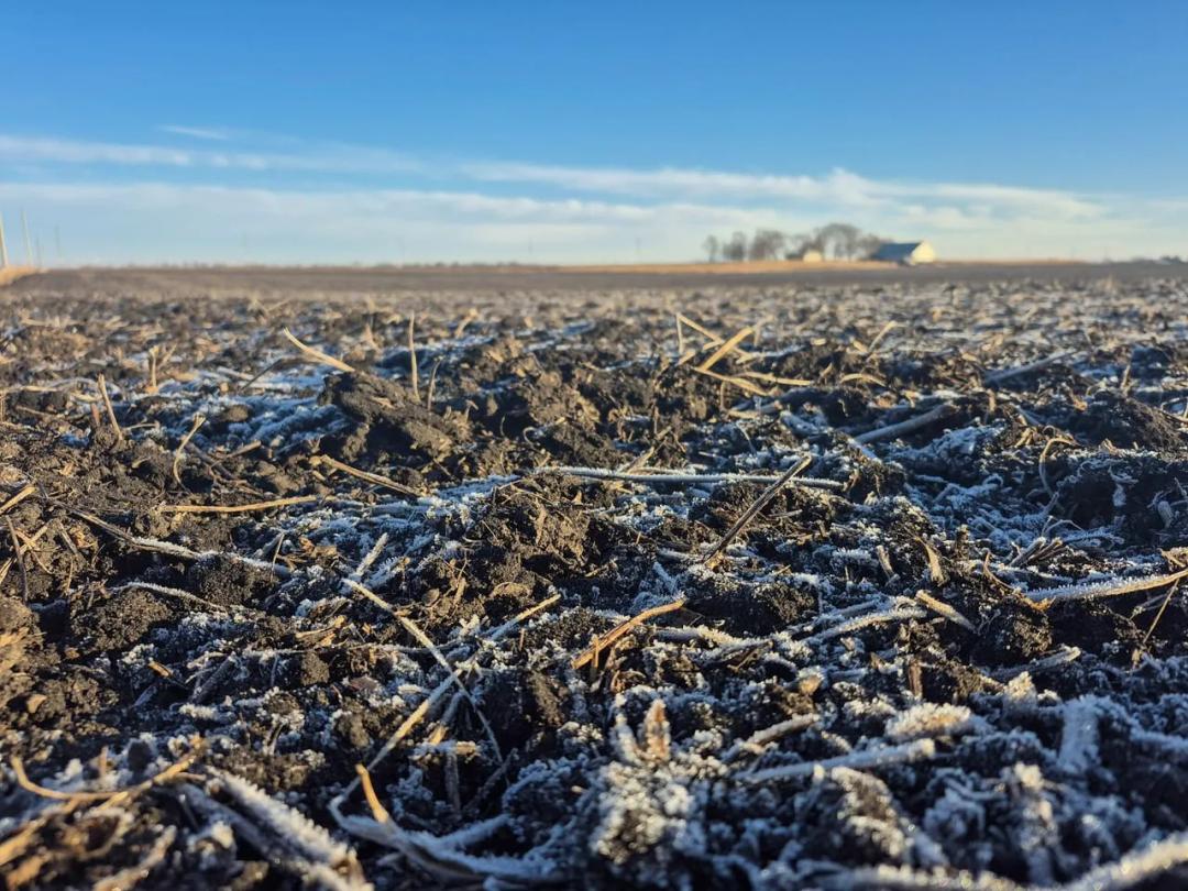 Listing #18838 - 300.00 acres in Greene County, IA