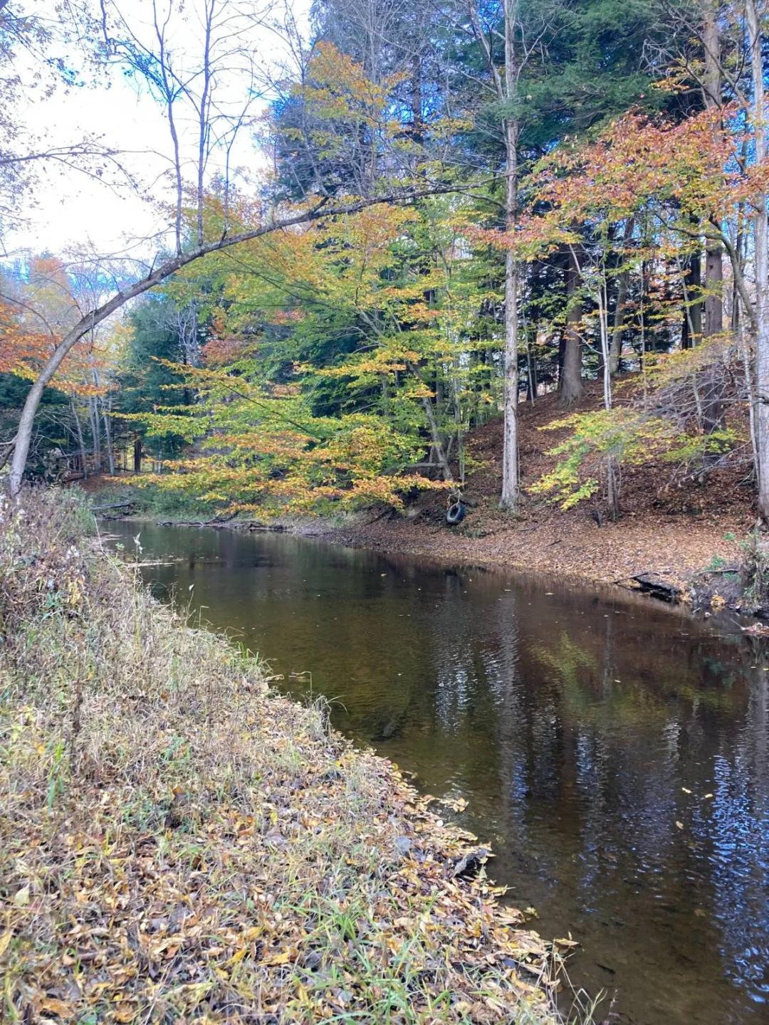 15 acre Hunting Land on Sterling Creek Sterling NY