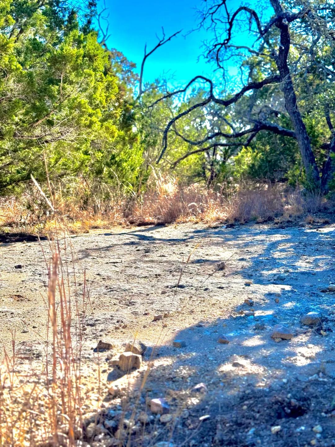 7 acres on Citadel Drive in Center Point, TX