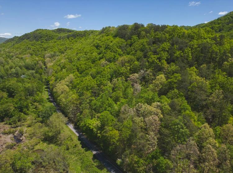 Discover the Hidden Paradise: 115 Acres of Serenity and Wildlife in East Tennessee's Bean Station, Grainger County
